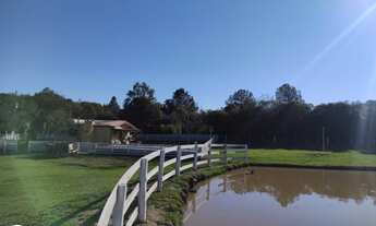 Imagem 5: Lindo Sitio / Chácara