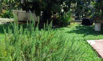 Imagem 4: Excelente casa 04 quartos c/suíte, 05 vagas, terreno fundos no Seminário - Curitiba - PR