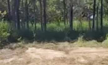 Imagem 2: Terreno de Chácara em Aragoiânia! - 3.875 m2