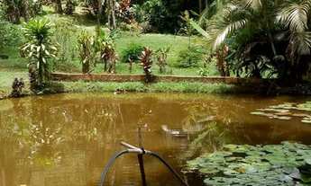 Imagem 4: CHÁCARA com 5 dormitórios à venda com 31000m² por R$ 650.000,00 no bairro Porto de cima