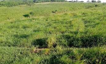 Imagem 6: Fazenda/Sítio/Chácara para venda com 156 ta possui 476736 metros quadrados em Centro - Aqu