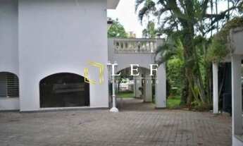 Imagem 5: Pacaembu com muita luz, espaço e área verde