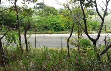 Imagem 4: Fazenda/Sítio/Chácara para venda com 100000 metros quadrados em Praia Bela - Pitimbu - PB