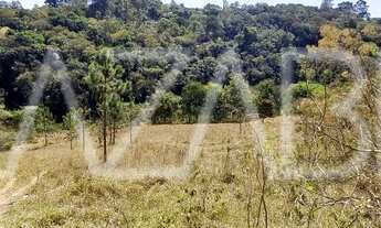 Imagem 5: Lote/Terreno para venda com 759 metros quadrados em Estância Santa Maria do Portão - Atiba