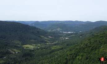 Imagem 6: Sítio / Chácara para Venda em Picada Café, Morro Hansen
