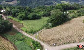 Imagem: Sítio / Chácara para Venda em Picada Café