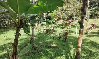 Imagem 2: CHÁCARA SANTA MARIA DAS FLORES!!!ÓTIMA LOCALIZAÇÃO, próximo ao Centro Histórico de Morrete