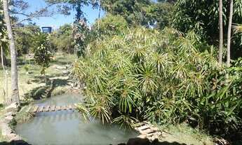 Imagem 3: Para quem quer Paz e Sossego