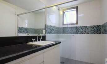 Imagem 11: Moema - Pássaros