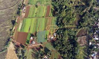 Imagem 7: Chácara, Cilo 3, Londrina, 42.504m² TE0336