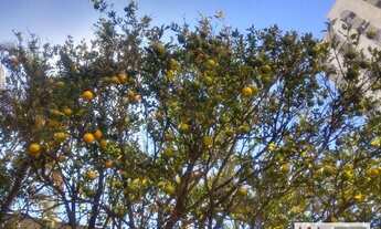 Imagem 5: OPORTUNIDADE A 300M DO METRO SAÚDE - Apartamento à venda por R$ 650.000 - Saúde - São Paul