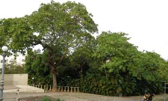 Imagem 4: Casa Comercial para aluguel, 9 quartos, 5 suítes, 8 vagas, Primavera - Teresina/PI