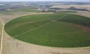 Imagem 6: Fazenda em unai m.g 1.000 hectares 103.000.000.00 ( ne-ali