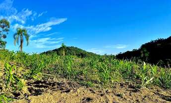 Imagem 6: PARCELO DIRETO CHÁCARA EM NOVA HARTZ