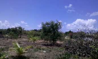 Imagem 5: Vendo Lotes em Pium RN