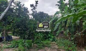 Imagem 7: Chacara de 1.5 Alqueires em Silvania