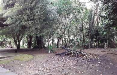 Imagem 6: Sitio em Itariri-Sp