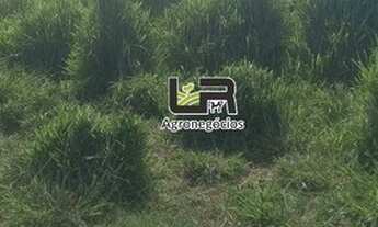 Imagem 2: Chacara de 11 Alqueires em Caldazinha