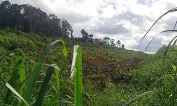 Imagem 3: Sítio no bairro Serra Grande em Gramado!