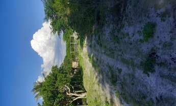 Imagem 3: Vende-se Sítio em Serrinha-ba