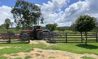Imagem 3: Fazenda próximo a São Valério Tocantins