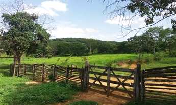 Imagem: Fazenda em Montes Claros-MG lt br gt 162