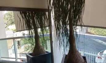 Imagem 6: APARTAMENTO - SUMARÉ - SP