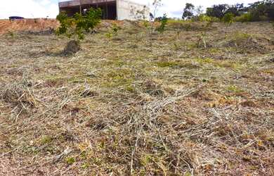 Imagem 6: Oportunidade Linda Chácara Com Casa em Construção Estrada Vicinal Da Br - 251