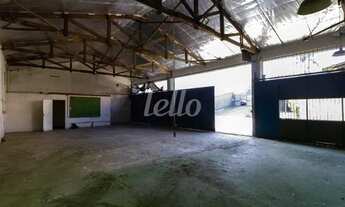 Imagem 5: São Paulo - Galpão/Depósito/Armazém - Vila Sônia