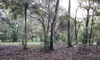 Imagem 3: Sitio em Itariri-Sp