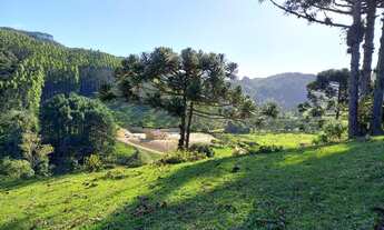 Imagem 6: ANITÁPOLIS/SC - Terreno a venda a 3km do centro com 11hectares