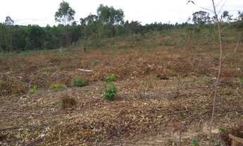 Imagem 4: Fazenda a venda em Minas Gerais