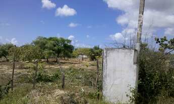 Imagem 4: Vendo Lotes em Pium RN