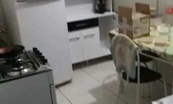 Imagem 4: ALUGO KITNET MOBILIADA