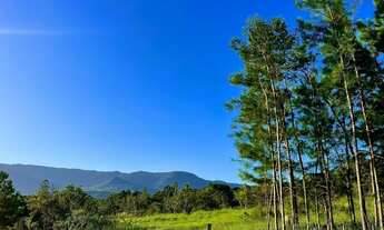 Imagem: PARCELO DIRETO CHÁCARA EM NOVA HARTZ
