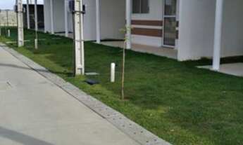 Imagem 3: VDO. CASA NO GRAND JARDIM DOS PINHEIROS