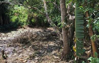 Imagem 3: Vendo ou troco Terreno / lote com venda com preço sob consulta