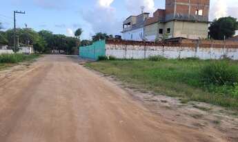 Imagem 4: Terreno em São José da Coroa Grande 10x20