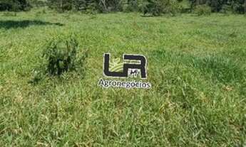 Imagem: Chacara de 11 Alqueires em Caldazinha