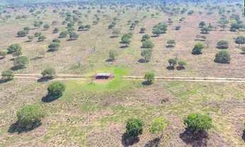 Imagem 6: Fazenda em Silvanopolis. Dupla aptidão