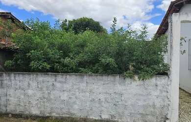 Imagem 3: Vendo pequeno sítio em Santo Antônio de Jesus