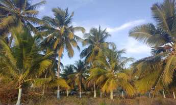 Imagem 4: Sítio Chácara com venda com preço sob consulta