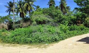 Imagem 9: Terreno Amplo de Esquina à Venda no Mosqueiro com Financiamento Disponível