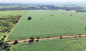 Imagem: Chácara de 5 alqueires em Hidrolândia-GO