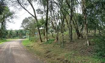 Imagem 2: Terreno com 813m² em Nova Petrópolis