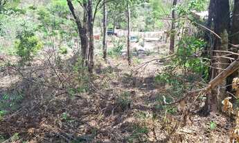 Imagem 7: Terreno a venda Chácara com venda por R$60.000