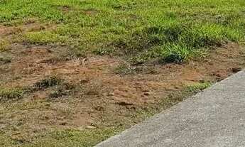 Imagem 3: Terreno 324 m² -Bem Localizado - Condominio - Ruda