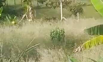 Imagem: Terreno/lote