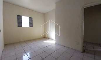 Imagem 6: Comercial GalpãoBarracão em Marília