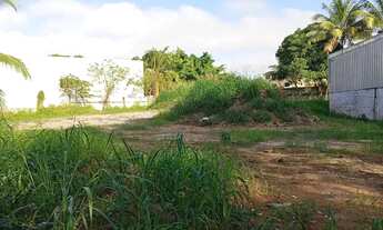 Imagem 5: Novo Cavaleiro - Excelente Terreno c/ 4.000 m² e todo murada!!!